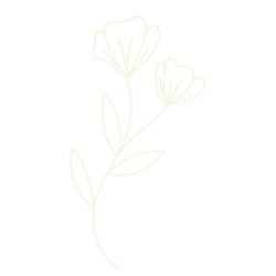 Diseño sin título (5) copia 4