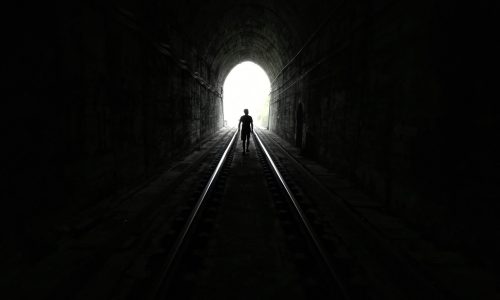 snowscat-m8Vl9_5oDzI-unsplash